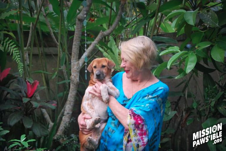 Ginger a rescued dog by Mission Pawsible - Dog Rescue, Rehome, & Adoption in Bali, Indonesia.