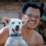 Putih a rescued dog by Mission Pawsible - Dog Rescue, Rehome, & Adoption in Bali.