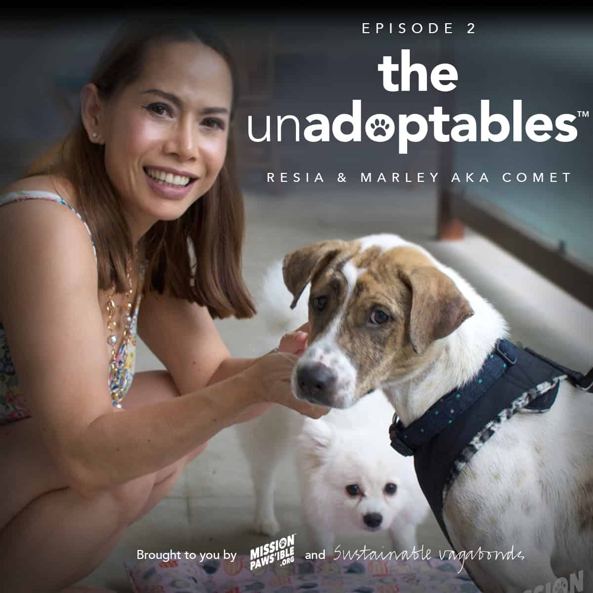 THE UN-ADOPTABLES by Mission Pawsible - Rescue, Rehome, Adopt Bali Street Dogs