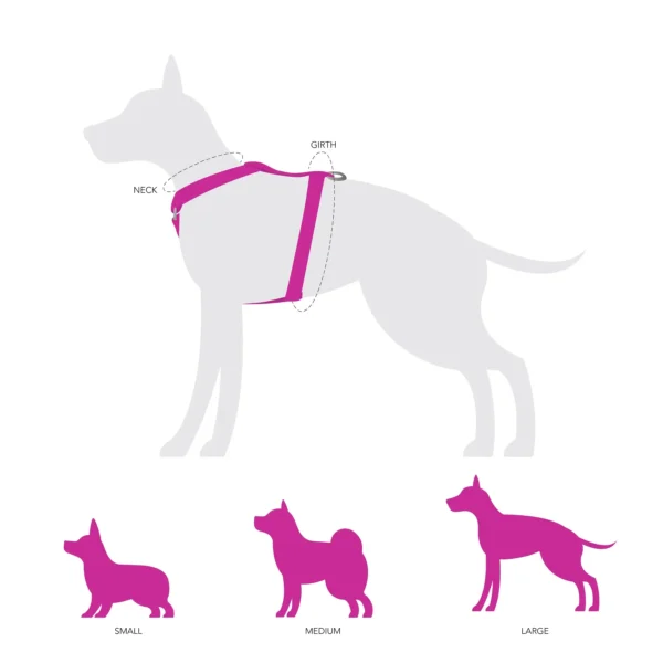 Guide displaying the fitting of the Hear Me Roar Adjustable Harness on a silhouette with highlighted neck and girth areas. Illustrations of three dog sizes—small, medium, and large—are shown below.