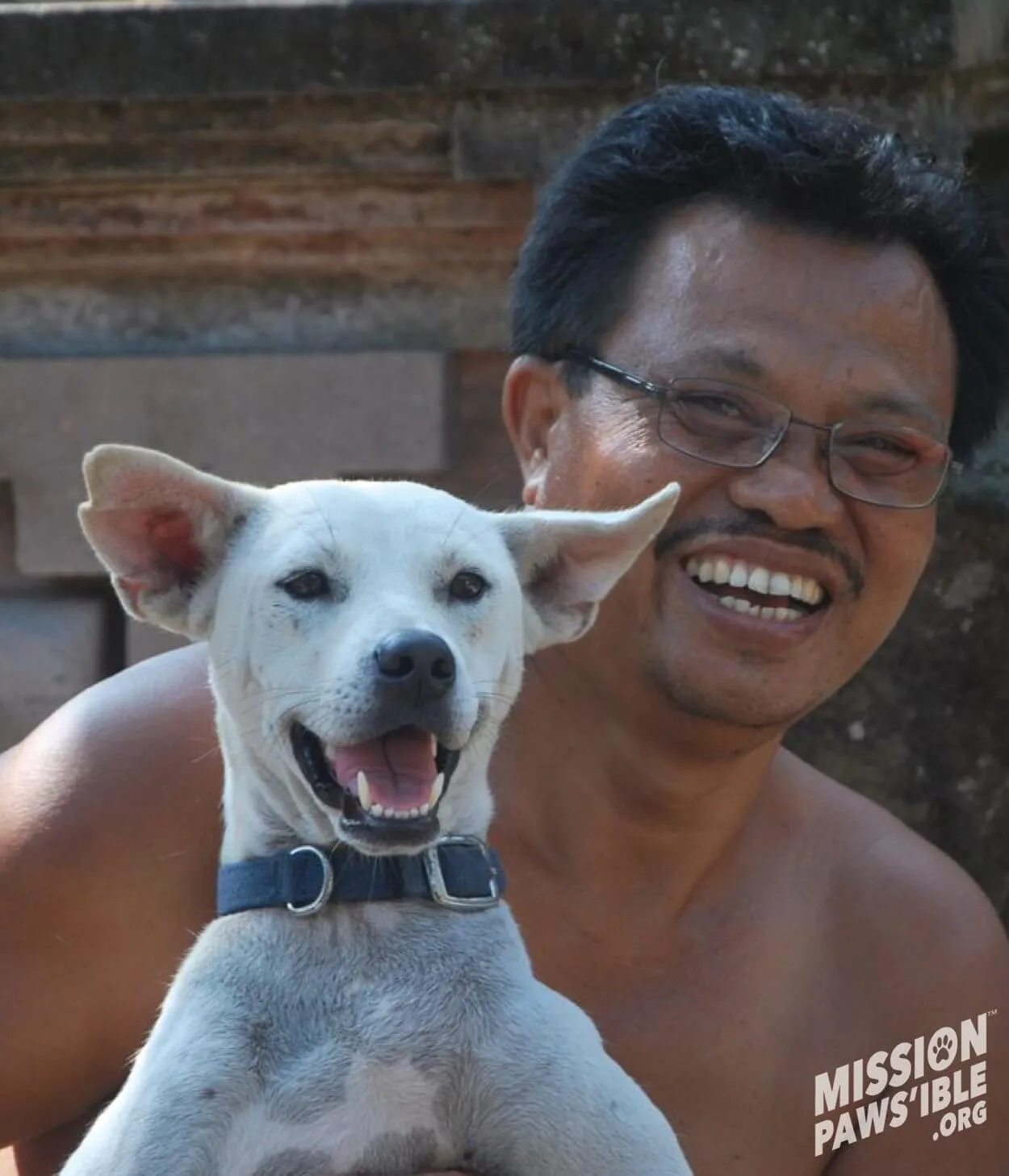 Mission-Pawsible_True_Stories_Putih5