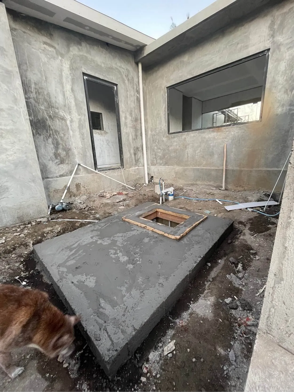 Concrete structure under construction with an inset square opening, surrounded by unfinished walls and a dog in the foreground.