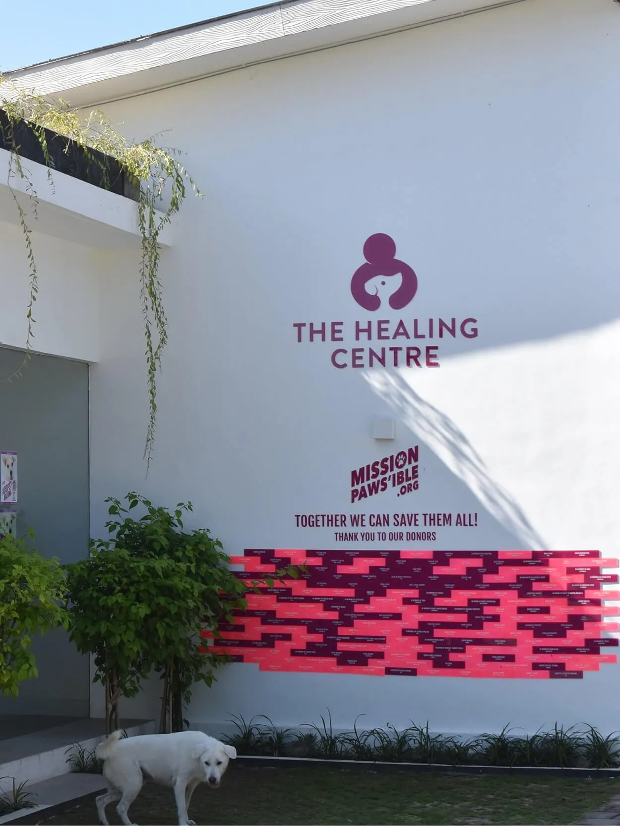 White building with a sign reading "The Healing Centre" and a wall of donor bricks. A white dog stands near greenery.